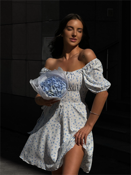 {{photo.Alt || photo.Description || 'Платье с акцентом в области декольте 035'}}